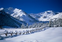 The Meadow Fence Line, Squaw Valley