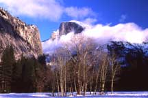 Winter Meadow, Yosemite Valley